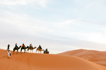 Camel Caravan Morocco - Entouriste