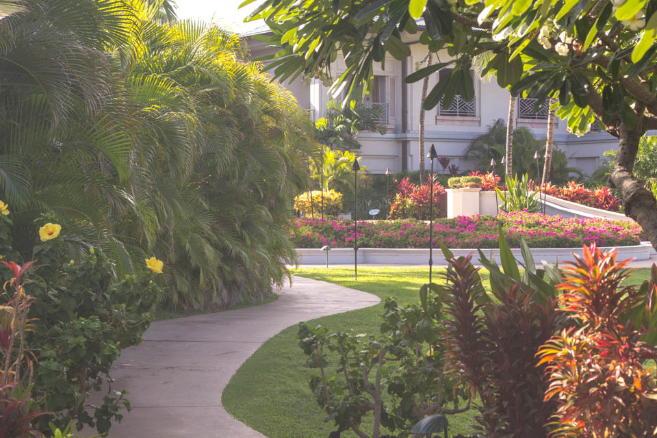 Big Island Resort Path - Entouriste