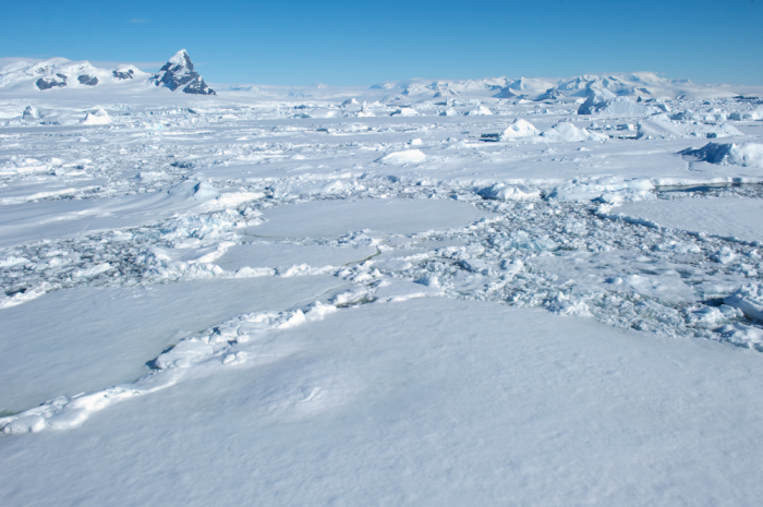 Snow Covered Land of Antarctica - Entouriste