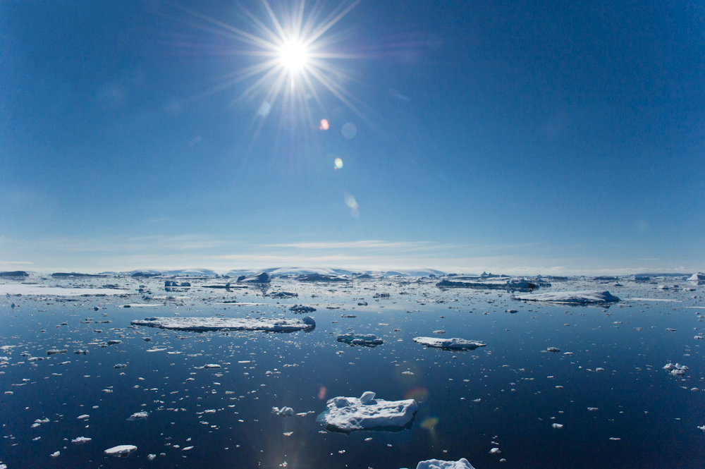 Waters of Antarctica - Entouriste
