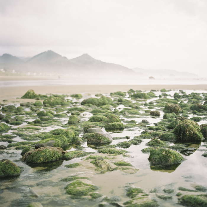 Tidepools at Haystack Rock in Cannon Beach Oregon - Entouriste