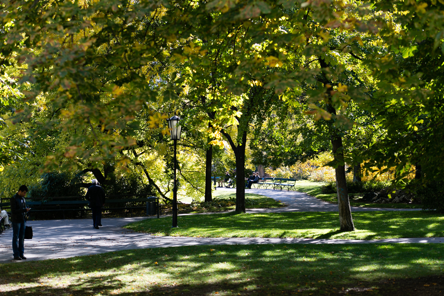 Tree Lined Park in Vienna Austria - Entouriste